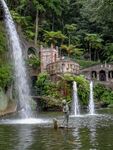 Nicky Westwood - Statue on the lake, Madeira