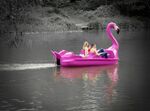 Tim Goss - In The Pink