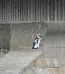 Miggy WIld - On the edge of the sea wall