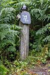 Nicky Westwood - Strange place for tea!, Kerrera