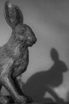 Paul Friend - two hares