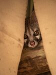 Terri Innes - Serval