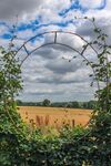 Nicky Westwood - Looking through a hoop at Thenford