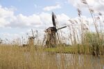 Paul Friend - Kinderdijk-Looking Through The Reeds