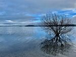 Miggy Wild - Bassenthwaite Lake