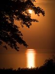 Paul Whitehead - View across the Bristol Channel, Lynton, Devon