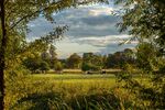 Nick Hardwick - Christ Church Meadow