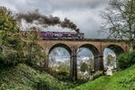 Neil Grantham - Daniels Mill Viaduct