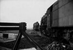 Paul Whitehead - Homage to Colin T Gifford_#2