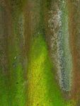 Colin Lamb - Corrugated iron