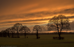 Sunset over Juniper