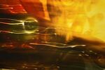 Meriel Flux - fish