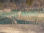 Miggy Wild - tartan water