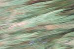 Paul Brewerton - Abstract 3