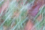 Paul Friend - Abstract no 3