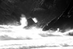 Daphne Lever - Wave