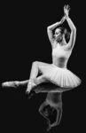 Maureen Tyrrell - Erica B&W