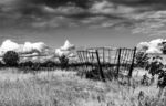 Richard Broadbent - Black and White 1