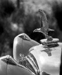 Carol Fieldhouse - B&W Alvis Speed 20 - 2