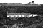 Daphne Lever - Cottages