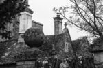 Meriel Flux - stone and trees