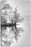 Nick Hardwick - Cormorant Isle