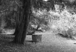 Miggy Wild - Adderbury Lakes 2