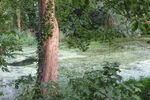 Miggy Wild - Adderbury Lakes 4