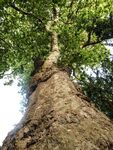 Miggy Wild - Adderbury Lakes 6