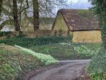 Miggy Wild - Snowdrops 1
