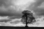 1 Threatening Clouds - Colin L.jpg