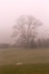 2 Rain on the Window - Colin L.jpg