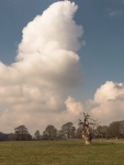 RichardB Weather-1.jpg