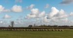 RichardB Weather-2.jpg
