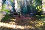 Helen Lauder - X Blurr ICM1