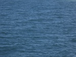 JohnP ripples.jpg
