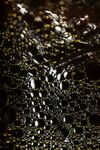 Maureen Tyrrell - What is it 1
