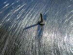 Nicky Westwood-Cryptic Photo (1)