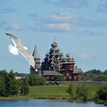 Ian Smith - In the air- Pesky seagull