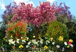 Alan Davies - Spring-Colour
