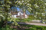 Nicky Westwood - Brockhampton Manor House