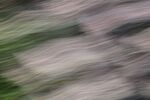 Paul Brewerton - ICM Abstract