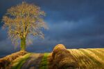 Paul Friend - Fields Near Wichford