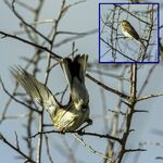 Andrew Dayer - This is What I Think of Your Fancy Lens