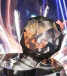 Miggy Wild - P1390526