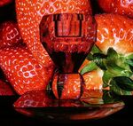 Miggy Wild - P1390546