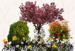 Alan Davies - Spring-Colour