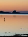 Colin Lamb - Dawn