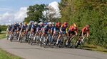 Colin Lamb - The peloton