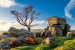Jim Muller - Evening light on Dartmoor Tor
